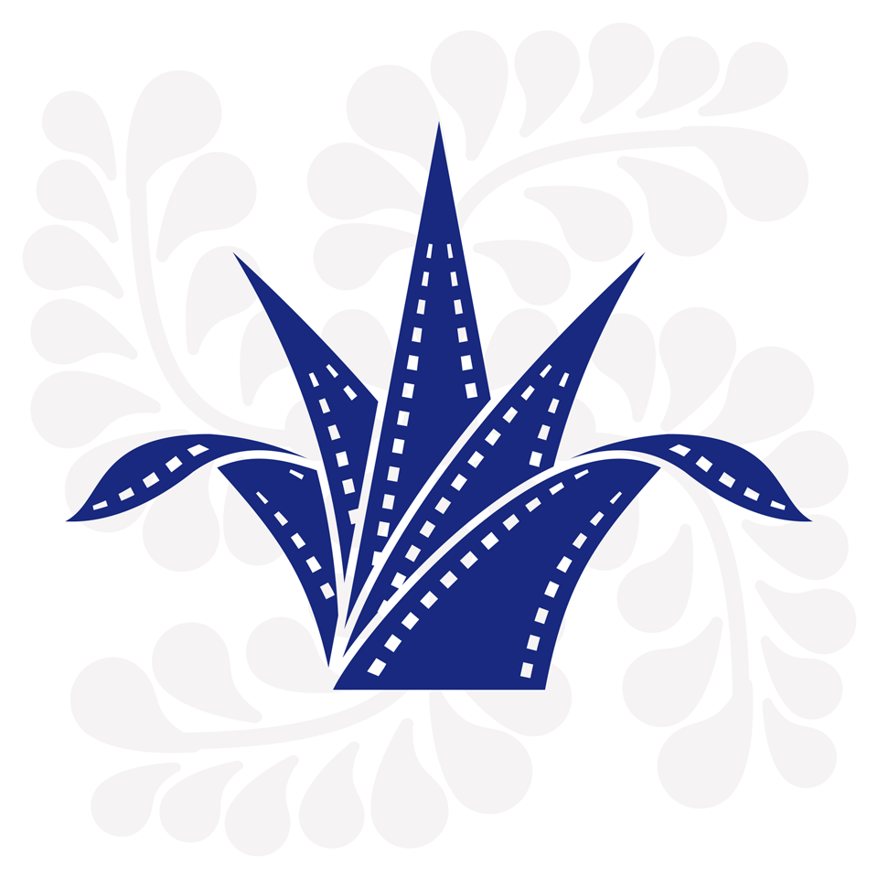 26055742_1784758181536336_6169887850916185582_n