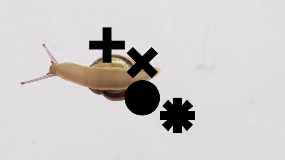 120015139_999510370476148_5264168097097367075_n