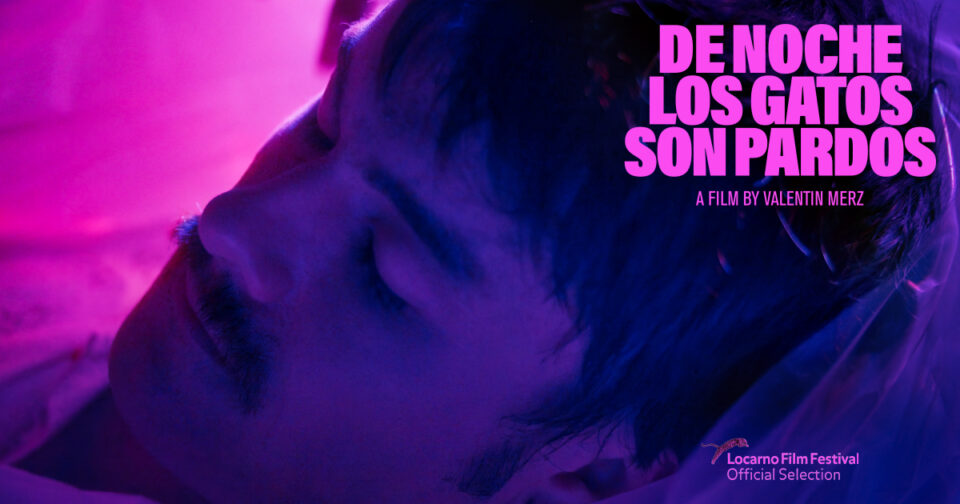 De-Noche-los-Gatos-son-Pardos_ads_facebook_1200x630-1