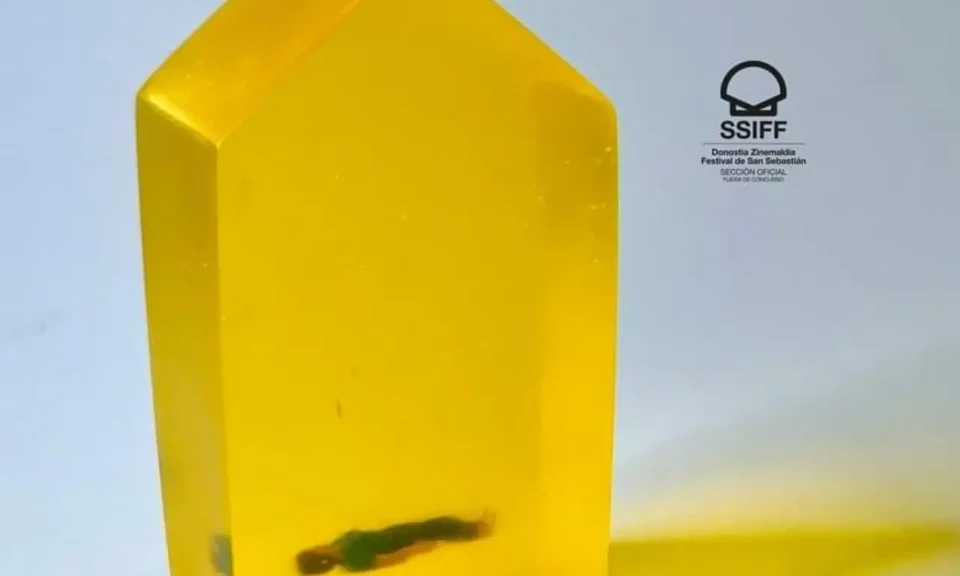 w780_5pVIQxY1jglfpMY8Wq2wohAFOxG