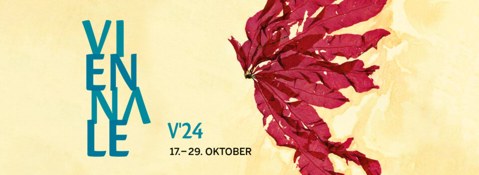 456405644_1074021150958027_3754748485200189927_n